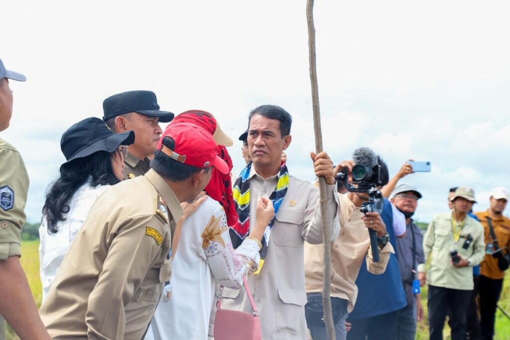 Mentan: Kalsel Siap Jadi Lumbung Pangan dengan Panen 3 Kali